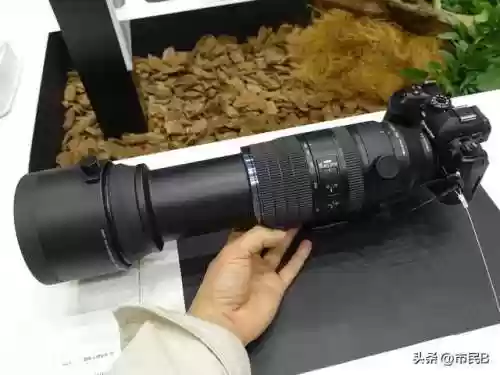 阿波兰阵容(历史足坛最佳阵容11人)插图14