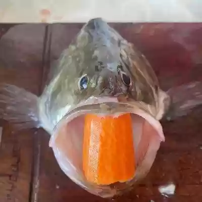 松鼠鳜鱼阵容(食物语松鼠鳜鱼最强阵容搭配)插图9