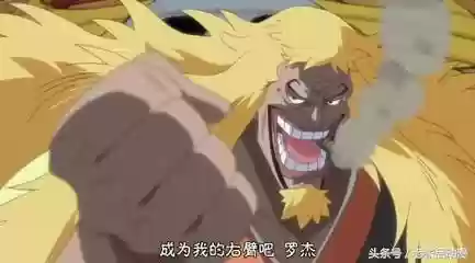 鹰眼赏识阵容(海贼王燃烧意志鹰眼阵容推荐)插图5