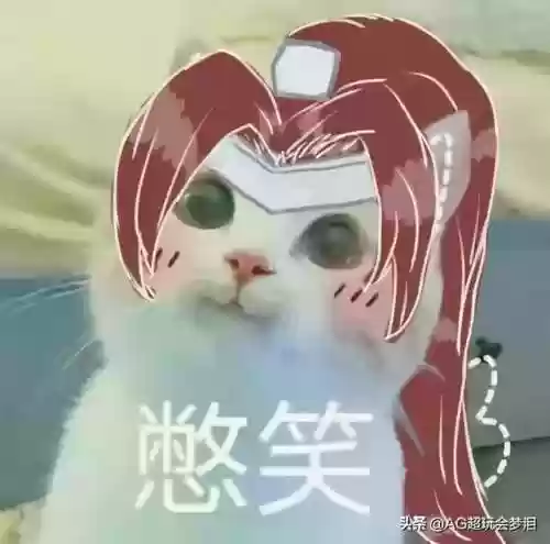 韩信最怕阵容(韩信适合什么阵容)