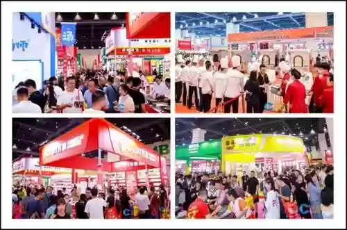 火锅潮流阵容(火锅最佳搭配菜)插图32