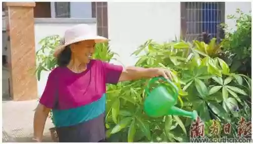 涂鸦乱石阵容(金铲铲之战元素游侠阵容搭配攻略)插图1