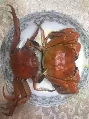 铁桶螃蟹阵容(土蜘蛛猛火阵容)插图23