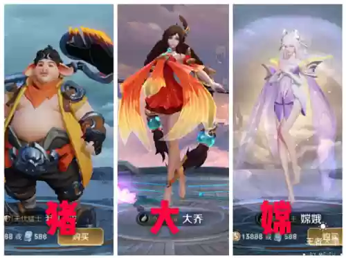 猪皮的阵容(猪八戒适合什么阵容)