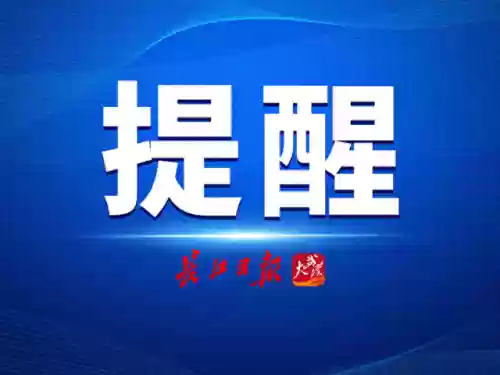 雷电雨夹雪阵容(雷电女王的鬼铠S到SS要多少)