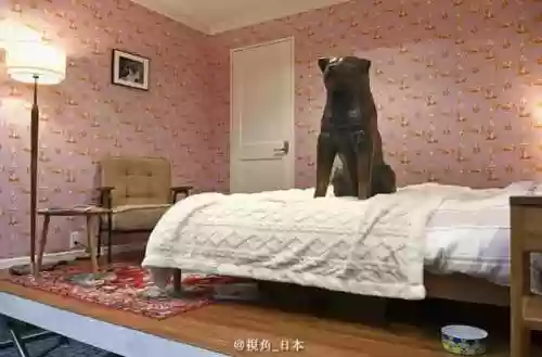 历年红白阵容(尤文图斯历年阵容一览)插图10
