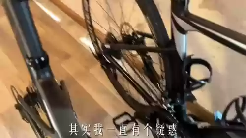 短鼻子阵容(什么样的鼻子属于短鼻)插图1