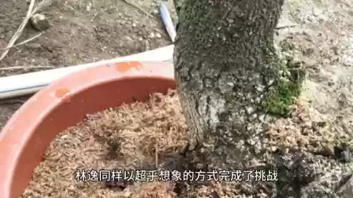 学院试炼阵容(英雄的试炼阵容推荐)插图3
