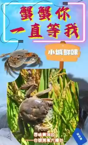 美食擂台阵容(一起来捉妖擂台最强阵容推荐)插图18