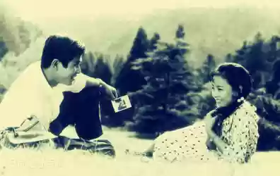 历年春晚阵容(2015春晚节目单表)插图11