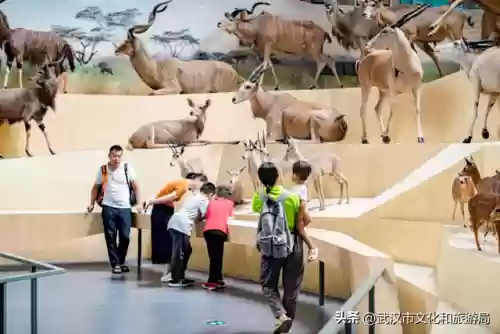 温泉活动阵容(温泉洗浴汗蒸的顺序)插图13