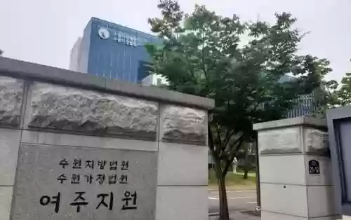 韩国寡妇阵容(韩日世界杯韩国队阵容)插图4