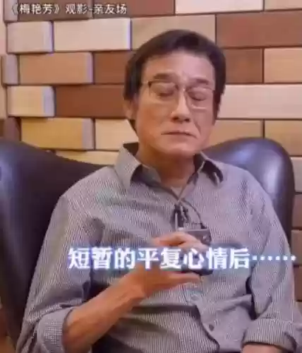 梅艳芳朋友阵容(梅艳芳男朋友是谁)插图15