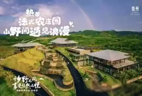 九小子阵容(129组合最舒服的阵容)插图7