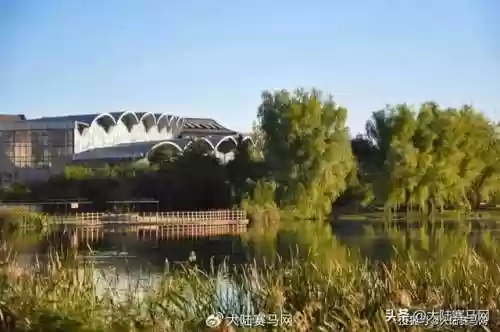马花桶阵容(四斗士配什么阵容s5)插图1