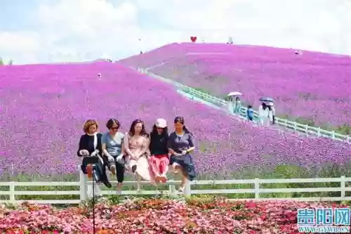 云顶花海阵容(云顶最新阵容搭配全部图)插图4
