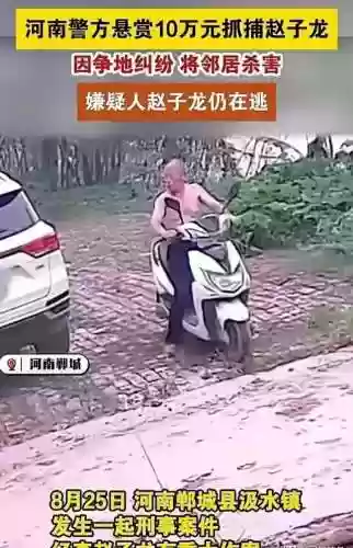 白龙悬赏阵容(白板潜龙阵最强阵容)插图1