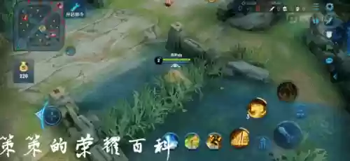 张良突进阵容(王者荣耀对方突进多拿什么双排阵容)插图20