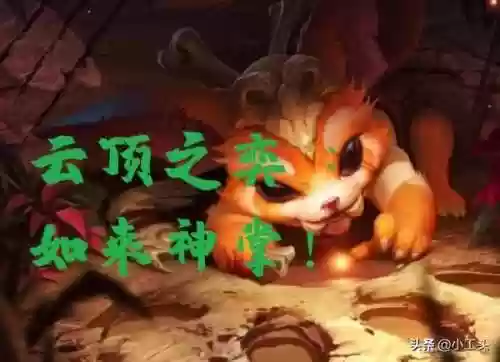 狂野龙龙阵容(狂野龙法阵容站位)插图8