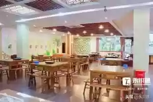 美人蛙阵容(宝可梦t0阵容)插图1