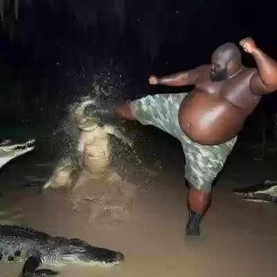 浣熊打架阵容(剑与家园浣熊和妖精哪个厉害)