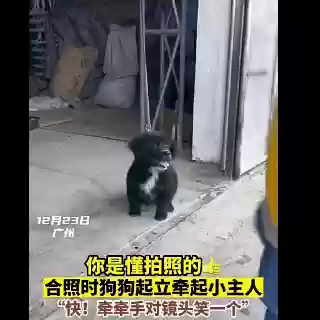 嬉闹躲藏阵容(邂逅在迷宫最强阵容搭配)插图30