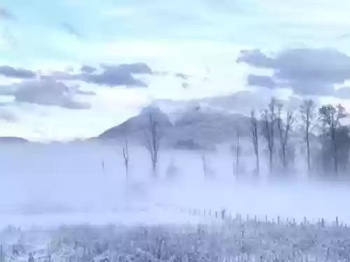 红椒映雪阵容(椒图反击流阵容过秘闻)插图4