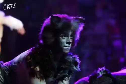 猫歌剧阵容(歌剧《猫》主题曲)插图1 猫歌剧阵容(歌剧《猫》主题曲)插图1