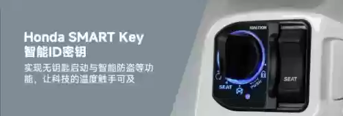 轻量化阵容(宝可梦t0阵容)插图12 轻量化阵容(宝可梦t0阵容)插图12