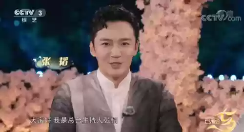 2022央视阵容(央视春晚主持人阵容正式公布)插图25