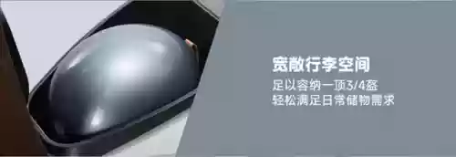 轻量化阵容(宝可梦t0阵容)插图20 轻量化阵容(宝可梦t0阵容)插图20