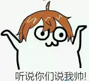 王者阵容表情(表情王者荣耀怎么添加)插图15