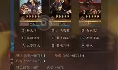 嘟嘟象阵容搭配