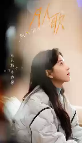 鲨鱼辣椒阵容(适合火焰鸡的阵容)插图5