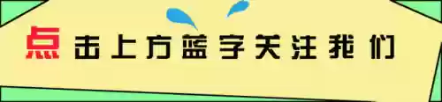 积极宝宝阵容(宝可梦t0阵容)