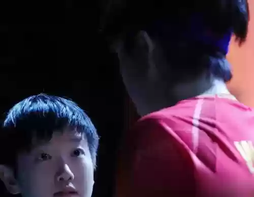 白眼阵容王者(王者荣耀模拟战最强阵容)插图13