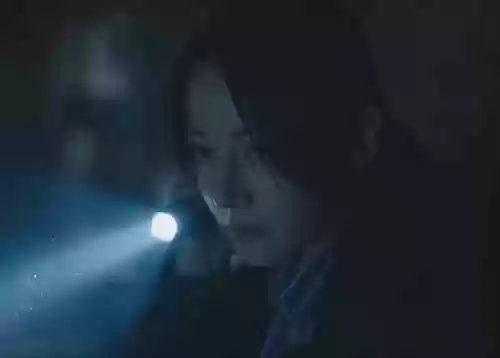 利剑玫瑰阵容(利剑玫瑰的预告片在哪里可以看到)插图5