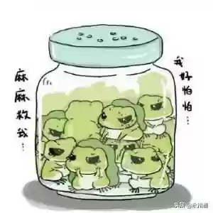 美人蛙阵容(宝可梦t0阵容)插图19