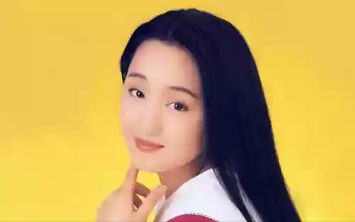 春晚经典阵容(央视春晚主持人阵容发布)插图8