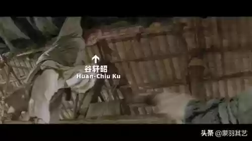 成龙武师阵容(成龙真的会武功吗)插图36