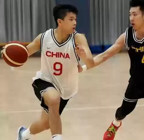 树苗反弹阵容(植物大战阵容搭配)插图3