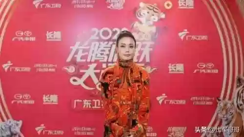 春晚2022阵容(2024年春晚怎么样)插图4