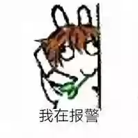 王者阵容表情(表情王者荣耀怎么添加)插图37