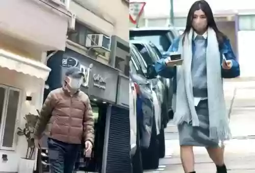 港星阵容图片(海贼之港推荐阵容)插图4