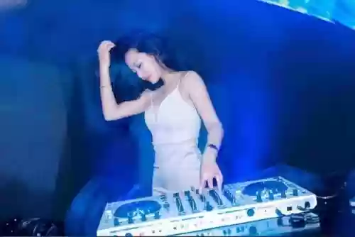 空港花田阵容(空港花田需要门票吗)插图13