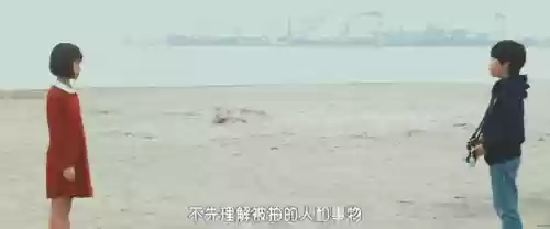 浅田家阵容(宝可梦t0阵容)插图35