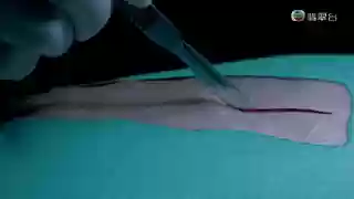 黑金医生阵容(火毒队最强阵容)插图1
