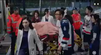 黑金医生阵容(火毒队最强阵容)插图14