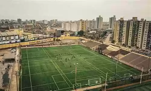 lol月光阵容搭配
