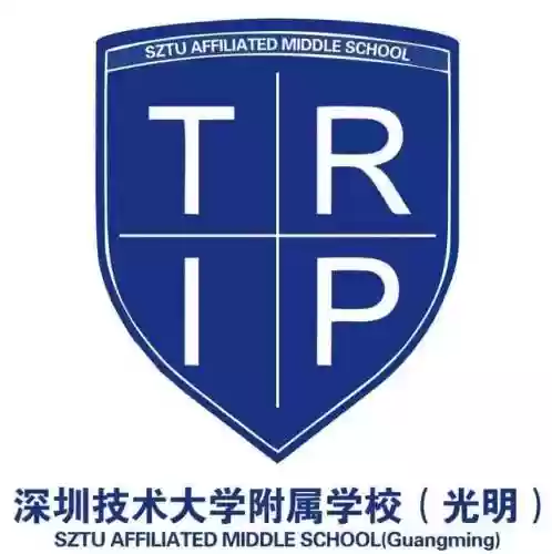 附属美丽阵容(附属美丽那三个是人吗)